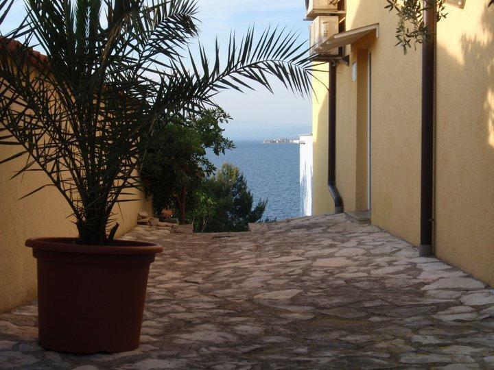 Apartments Salvore Crveni Vrh Oda fotoğraf